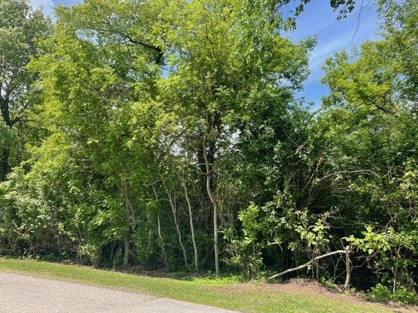 Lot 0 Pine Street S, McHenry, IL 60051