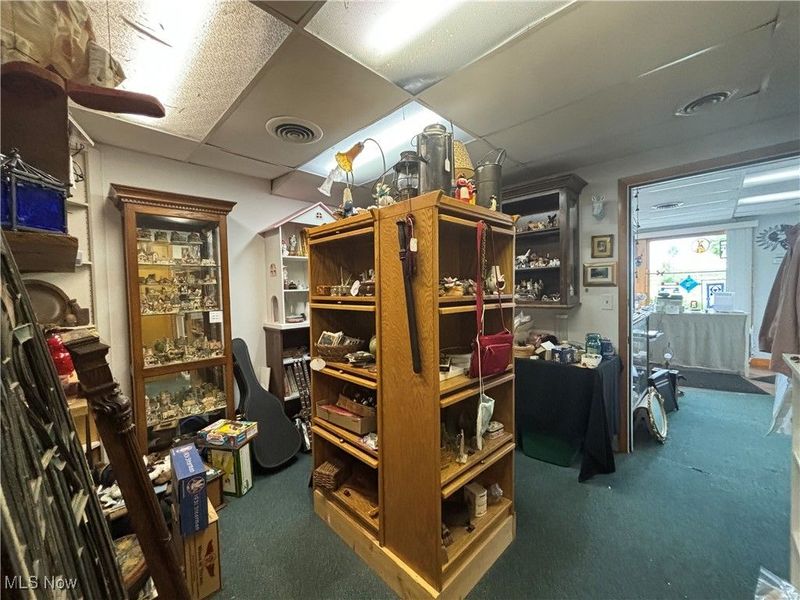 12157 State Route 88, Garrettsville, OH 44231 Photo 10