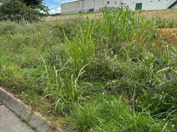 00 BUSINESS CENTER CIRCLE, Sevierville, TN 37862