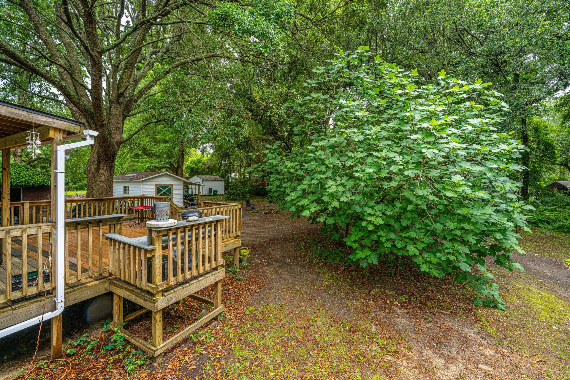 725 Hildebrand Drive Photo 42