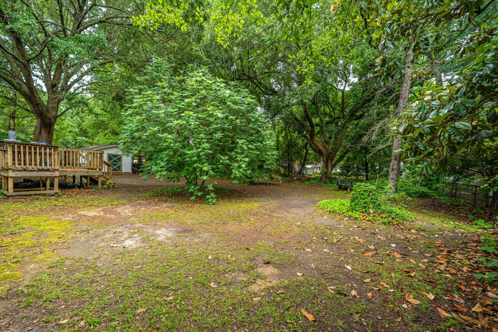 725 Hildebrand Drive Photo 48