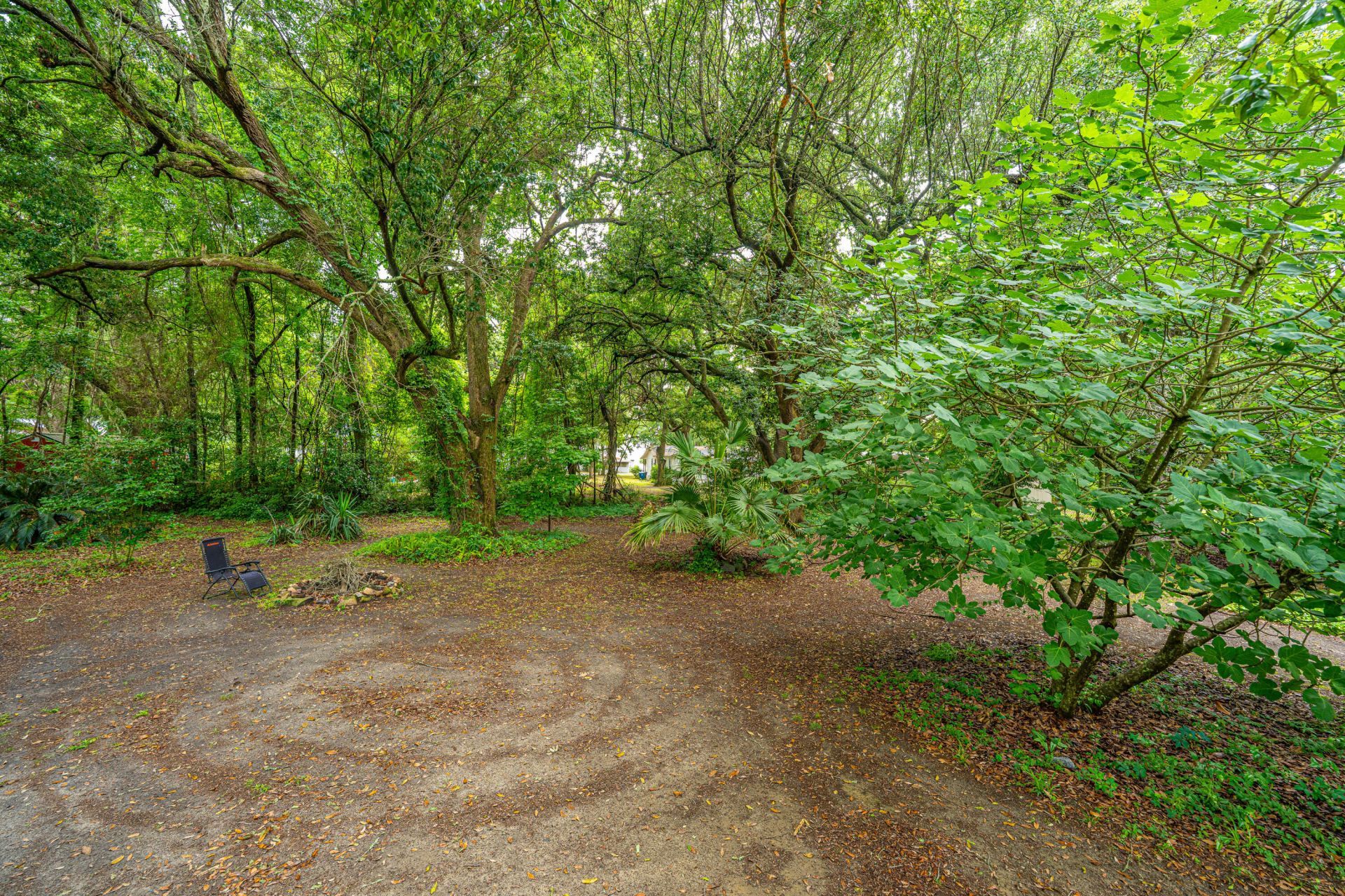 725 Hildebrand Drive Photo 9