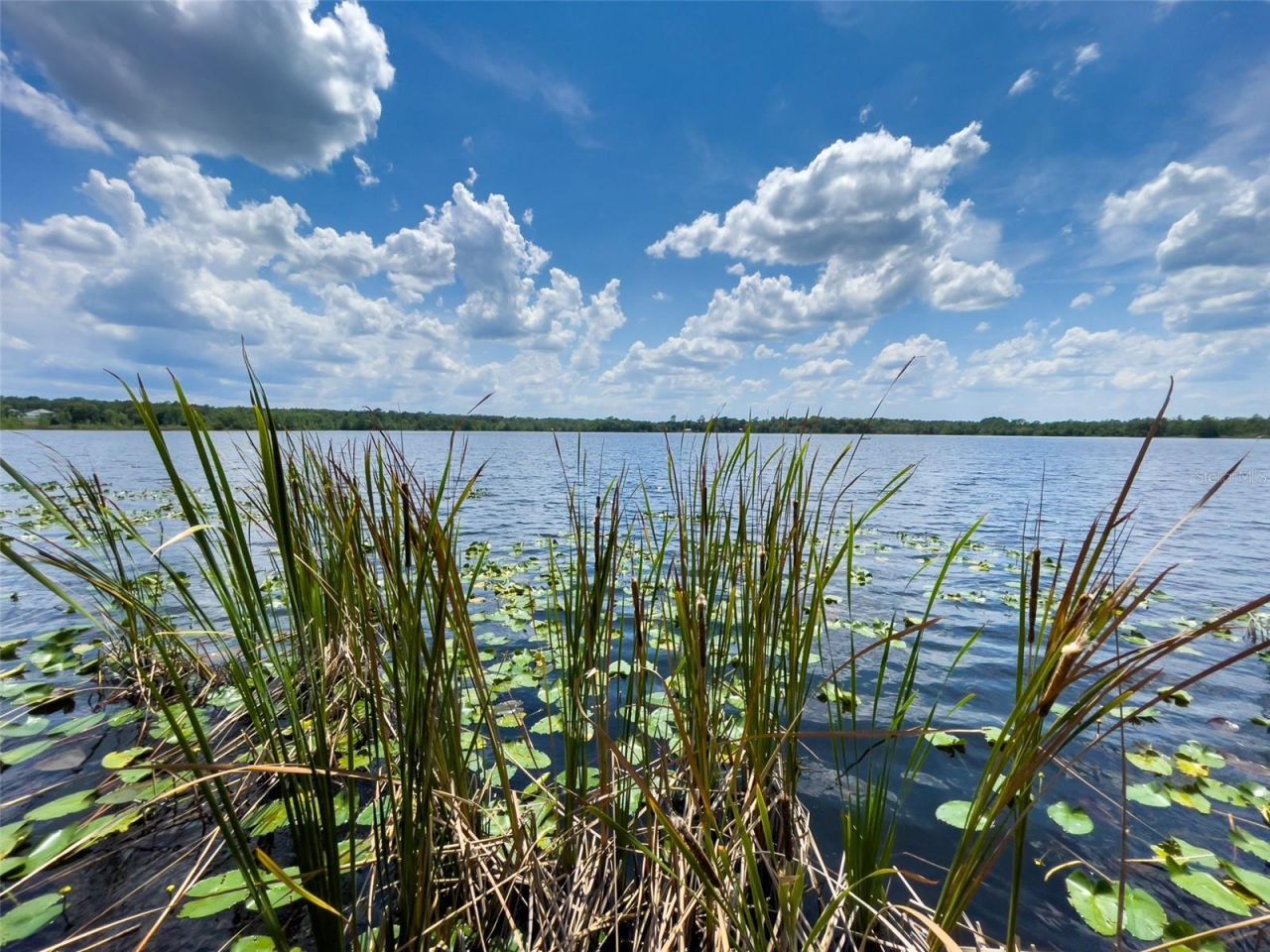 2292 SE 170th Avenue Road, Silver Springs, FL 34488 Photo