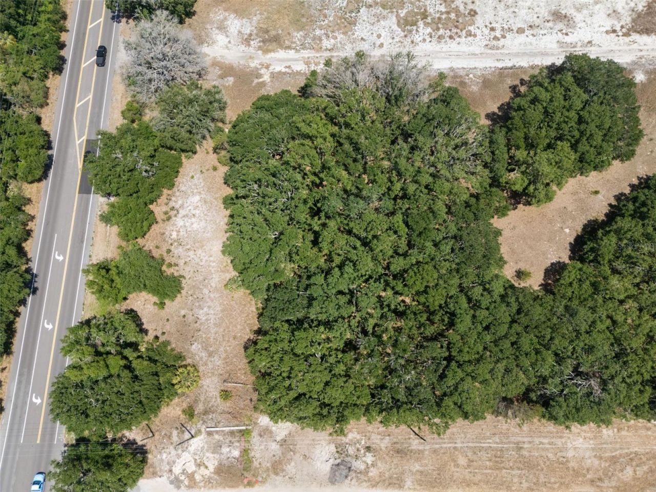 Rhodine Road, Riverview, FL 33579 Photo