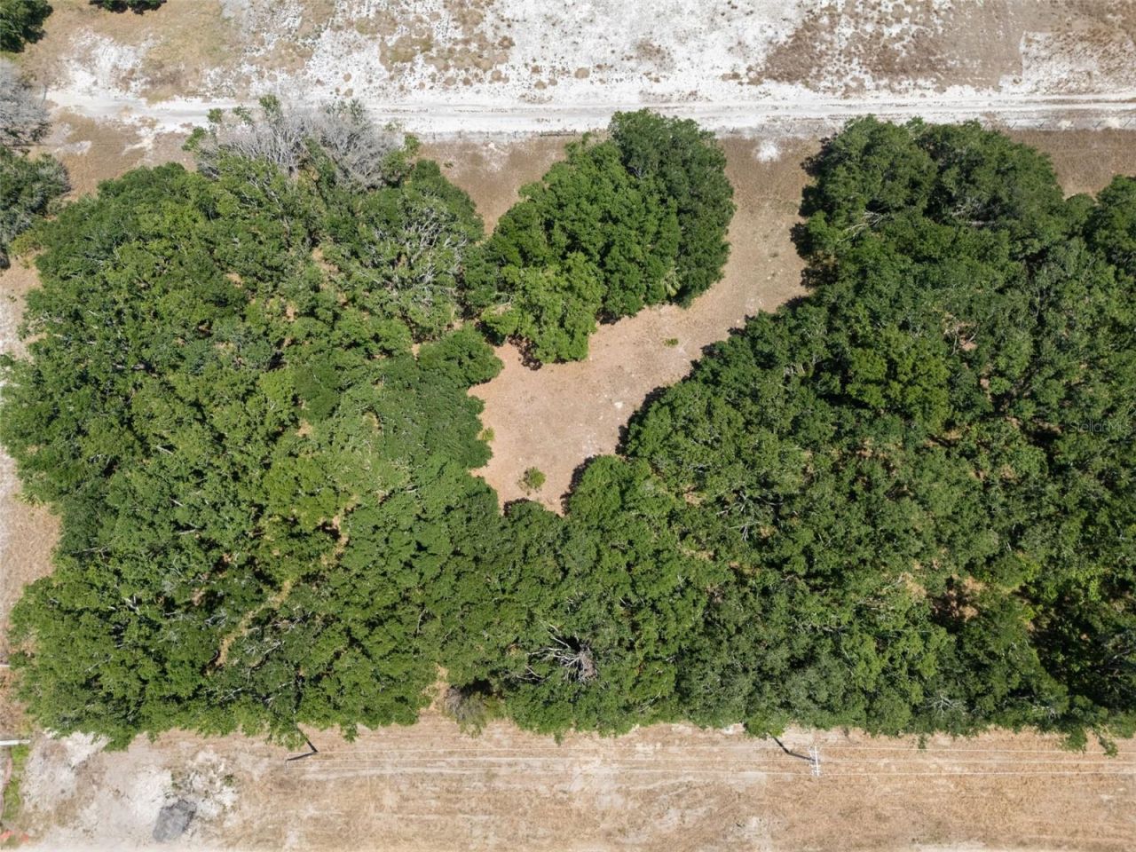 Rhodine Road, Riverview, FL 33579 Photo