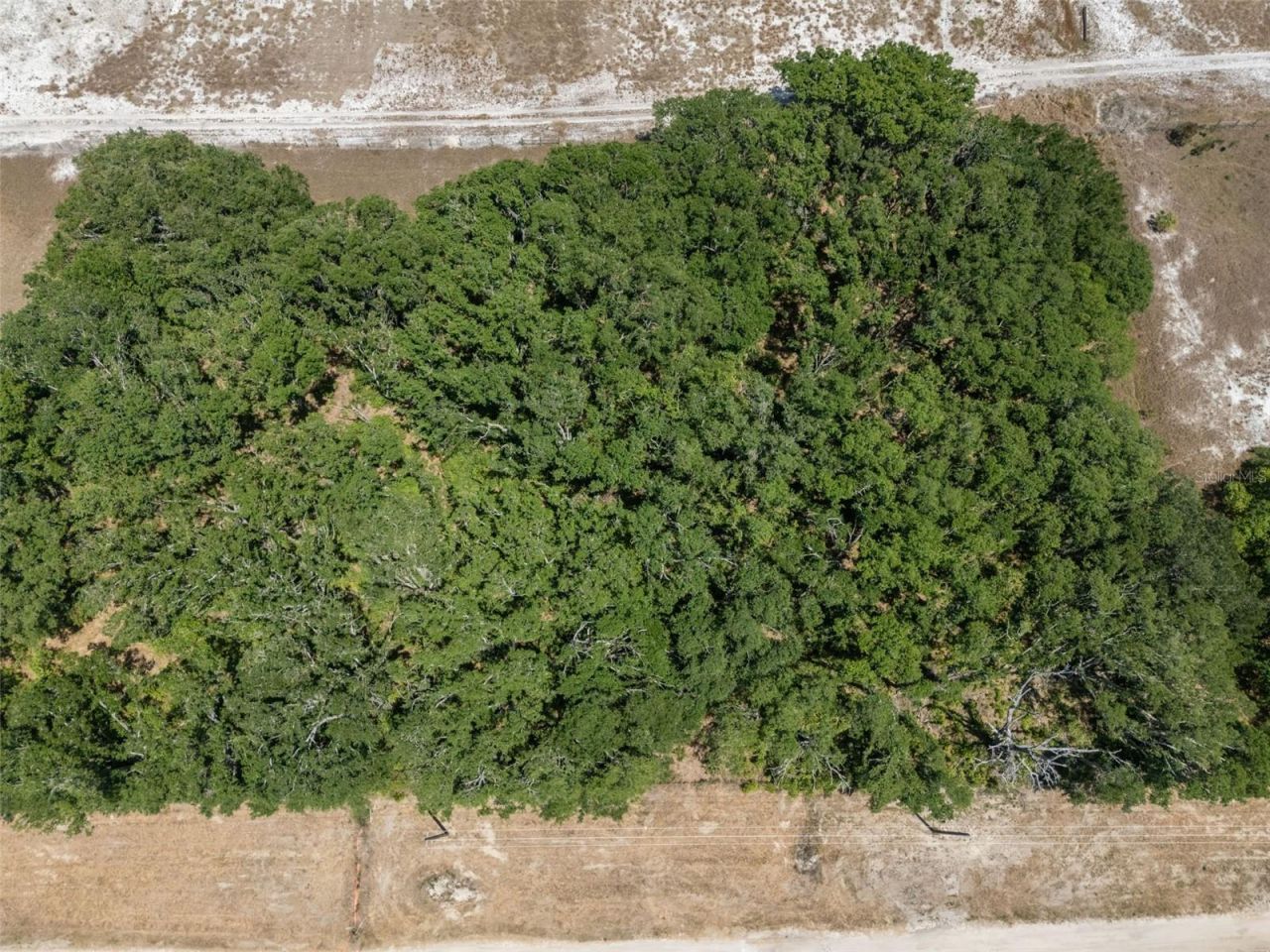 Rhodine Road, Riverview, FL 33579 Photo