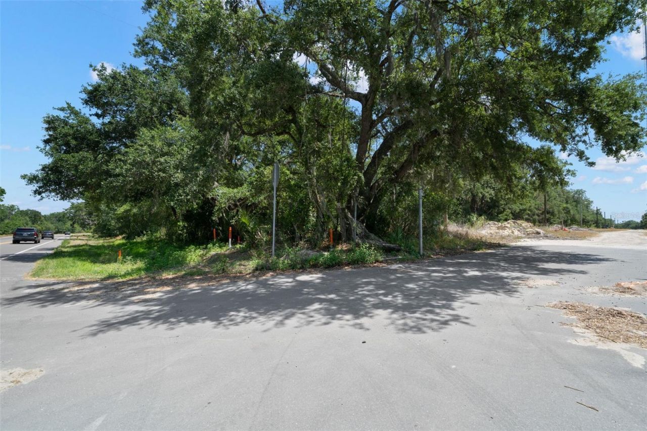 Rhodine Road, Riverview, FL 33579 Photo