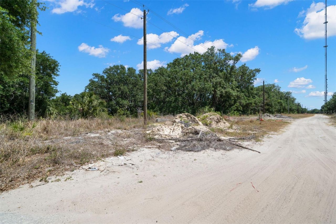 Rhodine Road, Riverview, FL 33579 Photo