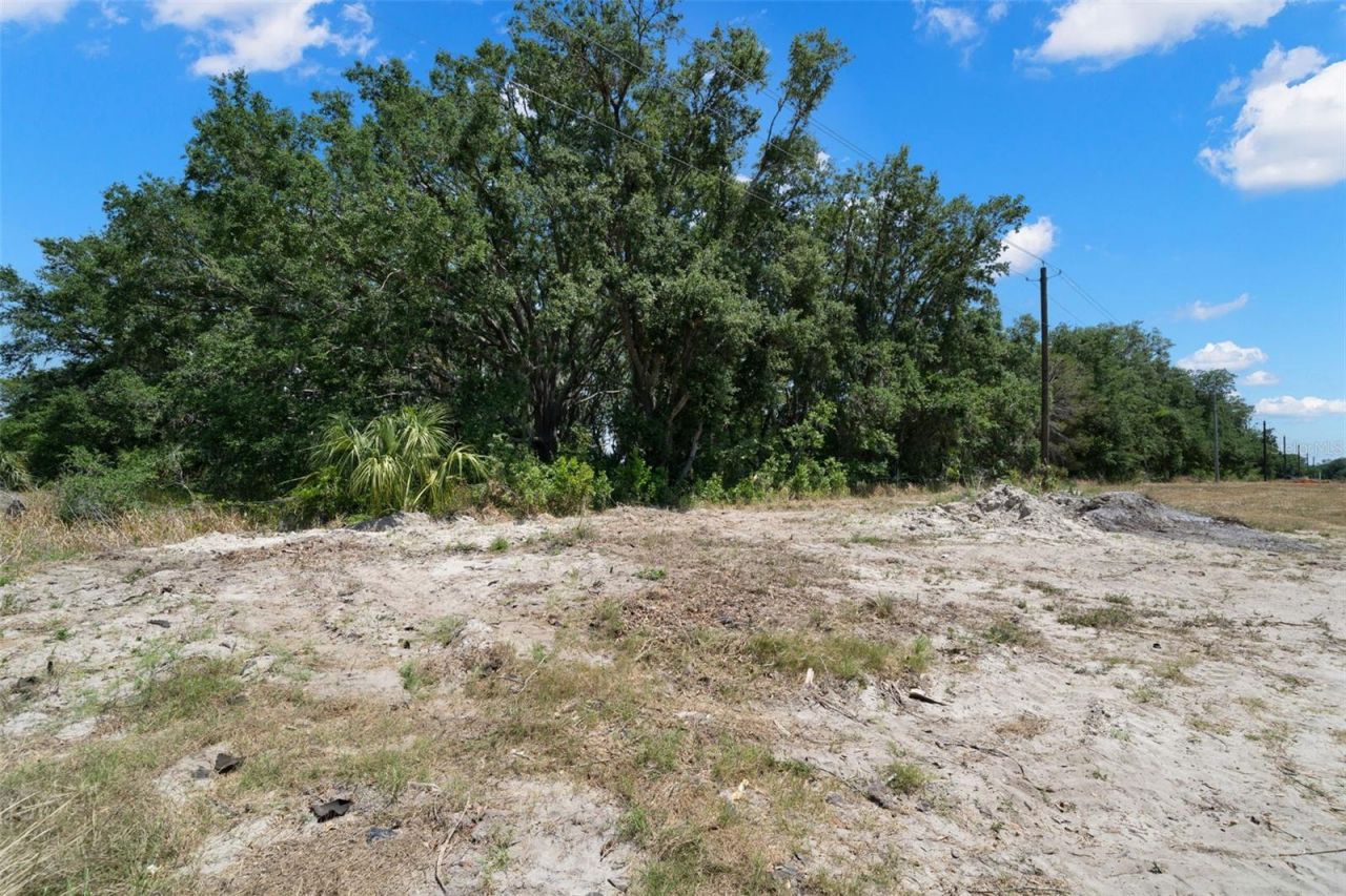 Rhodine Road, Riverview, FL 33579 Photo