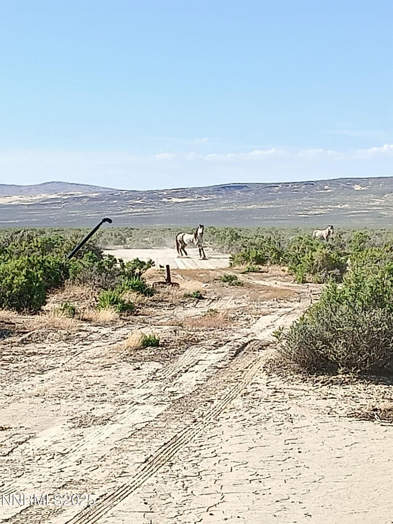 6055 Flanigan Road, Reno, NV 89510 Photo