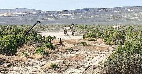 6055 Flanigan Road, Reno, NV 89510 Photo