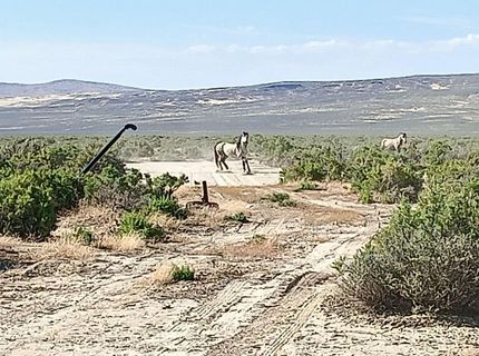 6055 Flanigan Road, Reno, NV 89510 Photo