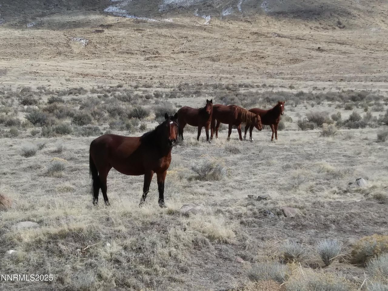 6055 Flanigan Road, Reno, NV 89510 Photo