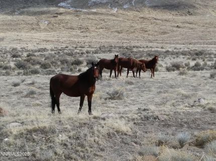 6055 Flanigan Road, Reno, NV 89510 Photo