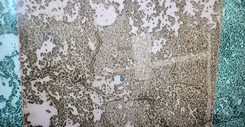 6055 Flanigan Road, Reno, NV 89510 Photo