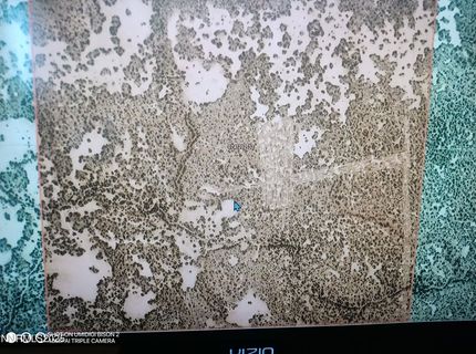 6055 Flanigan Road, Reno, NV 89510 Photo