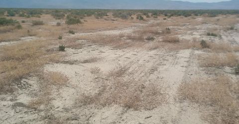 6055 Flanigan Road, Reno, NV 89510 Photo