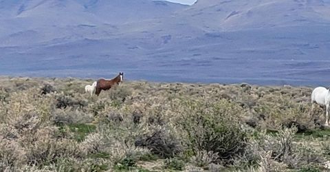 6055 Flanigan Road, Reno, NV 89510 Photo