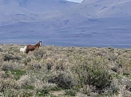 6055 Flanigan Road, Reno, NV 89510 Photo