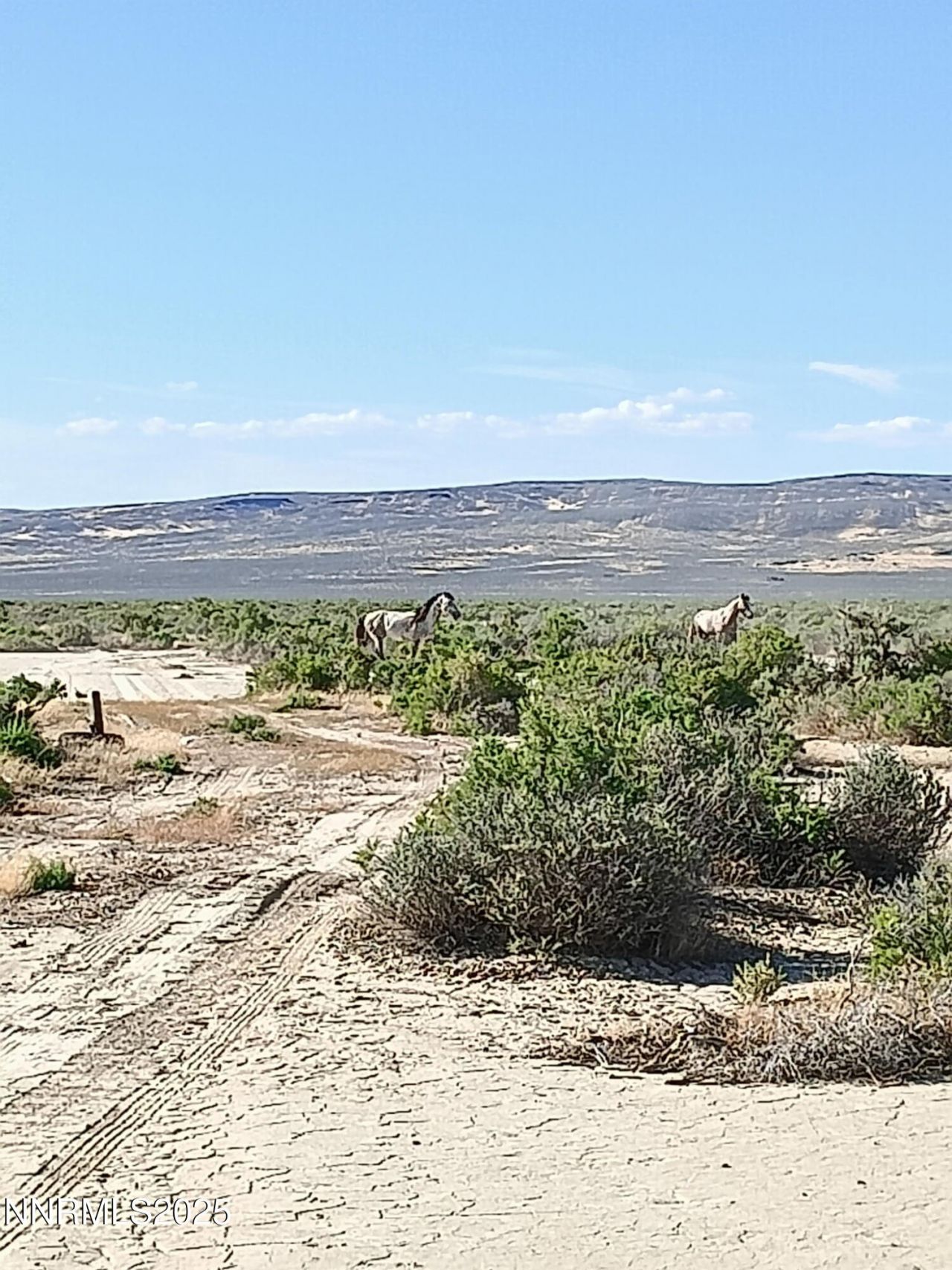 6055 Flanigan Road, Reno, NV 89510 Photo