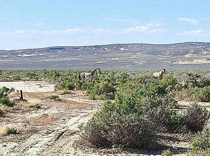 6055 Flanigan Road, Reno, NV 89510 Photo