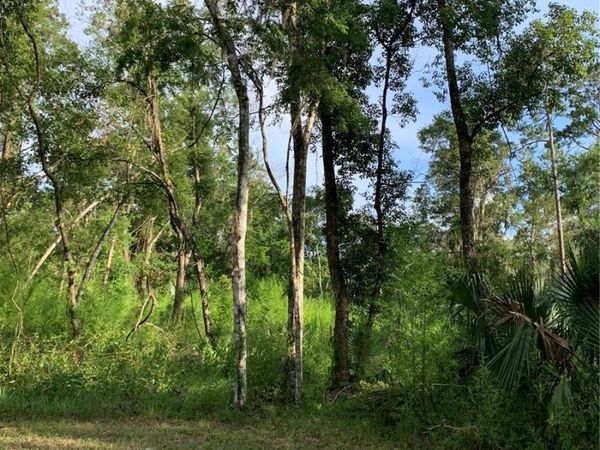 625 W DR M L KING JR BOULEVARD, BROOKSVILLE, FL 34601