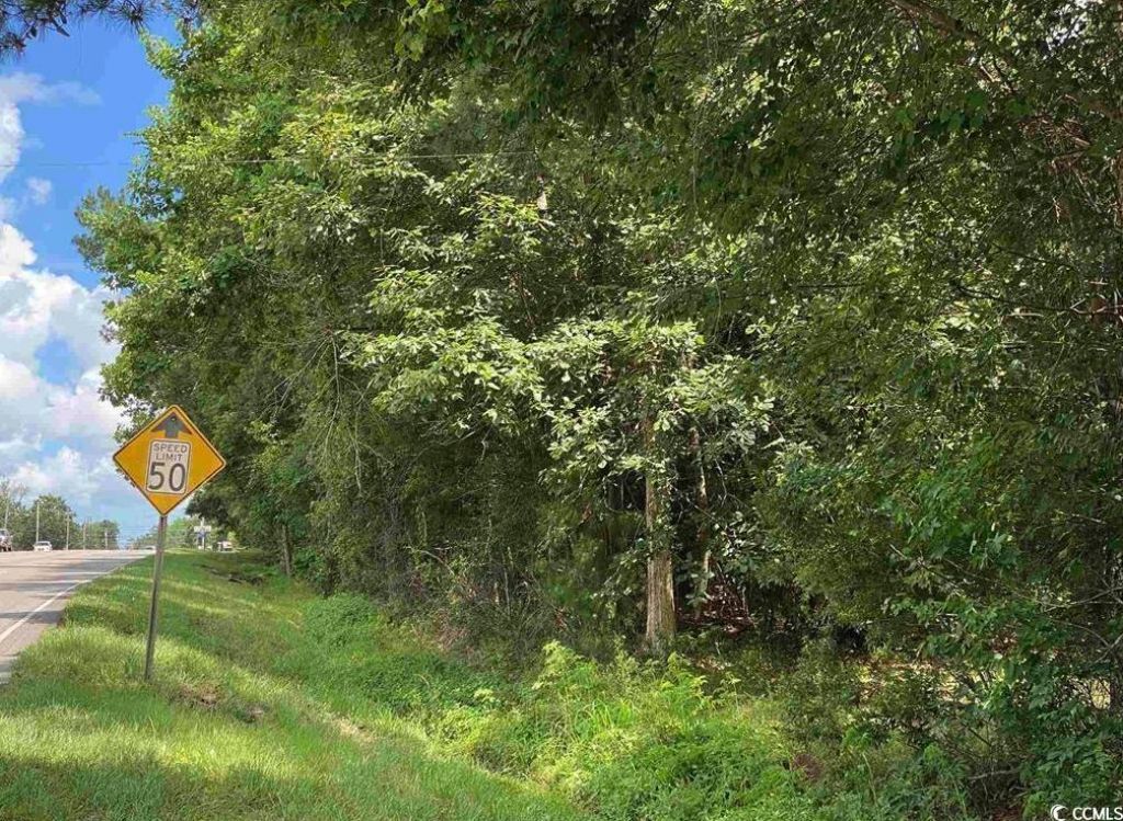 Tbd Highway 378 Photo 5