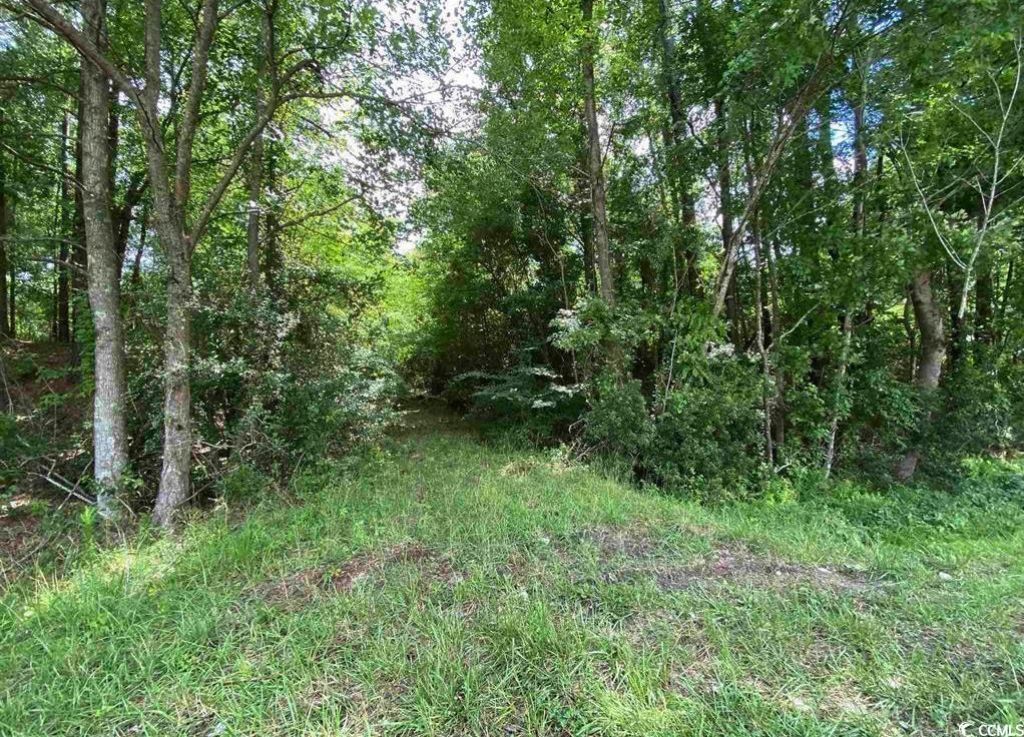 Tbd Highway 378 Photo 6