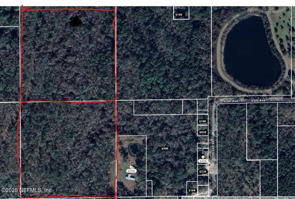 20600 SE Sr-20, Hawthorne, FL 32640 Photo