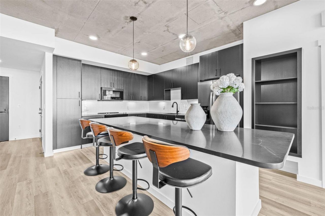 221 Main Street N, Unit 1217, Saint Petersburg, FL 33716 Photo