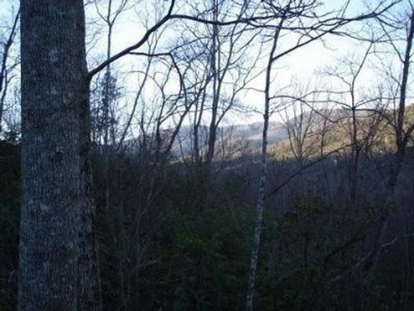 8182 Red Maple Lane, Big Canoe, GA 30143