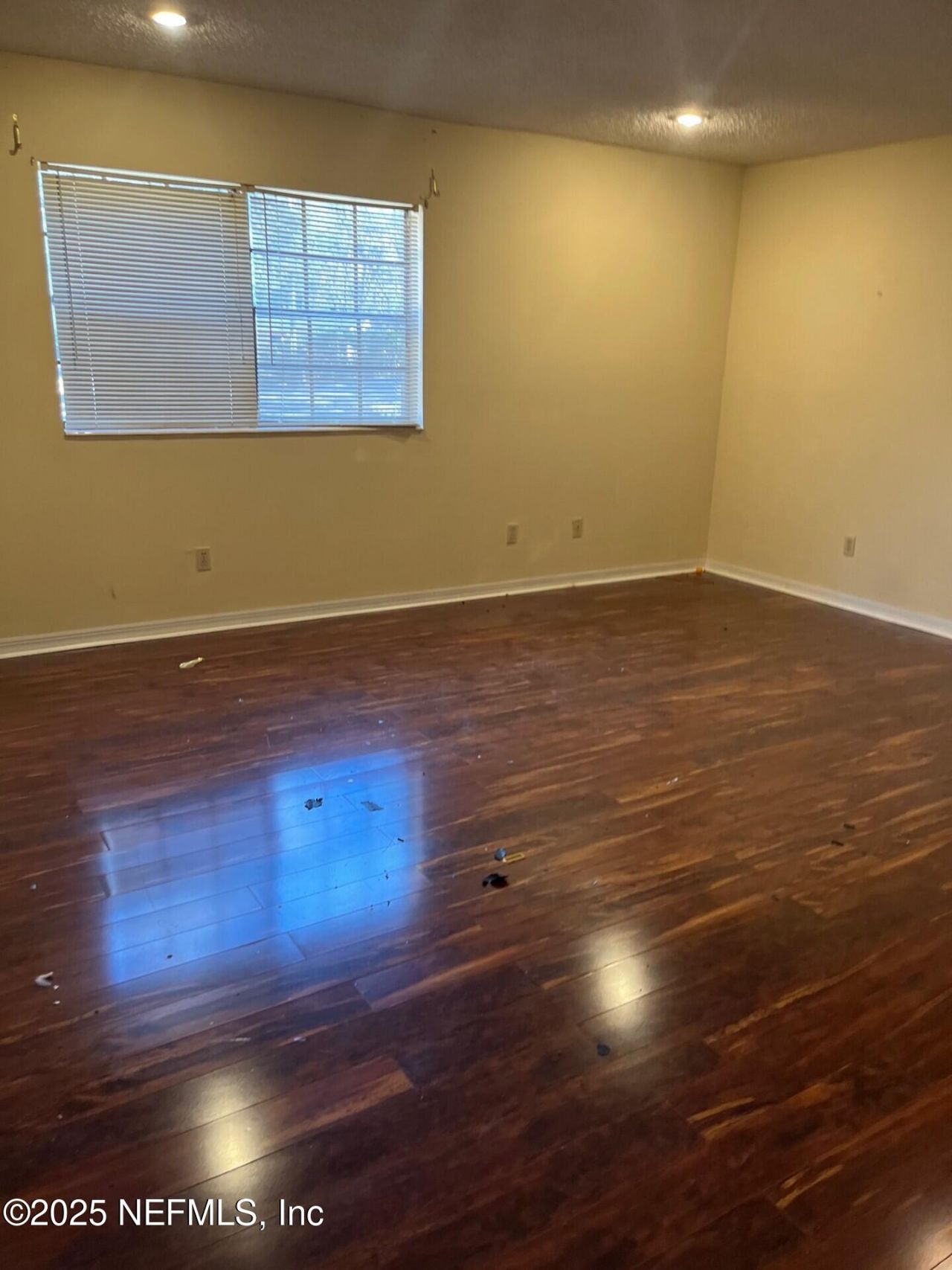 6239 Earline Circle S, Jacksonville, FL 32258 Photo