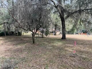 6239 Earline Circle S, Jacksonville, FL 32258 Photo