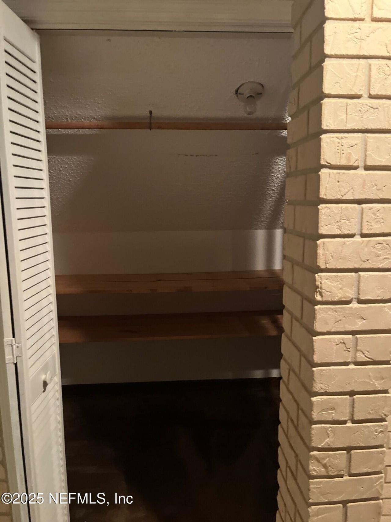 6239 Earline Circle S, Jacksonville, FL 32258 Photo