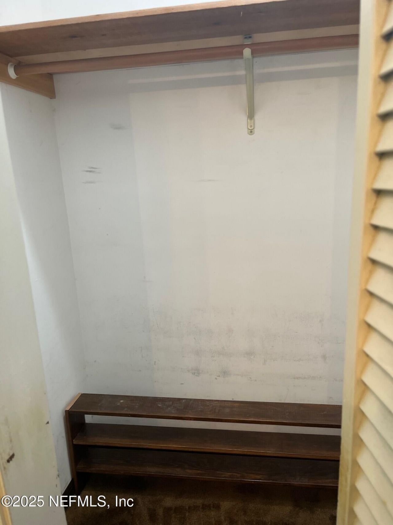 6239 Earline Circle S, Jacksonville, FL 32258 Photo