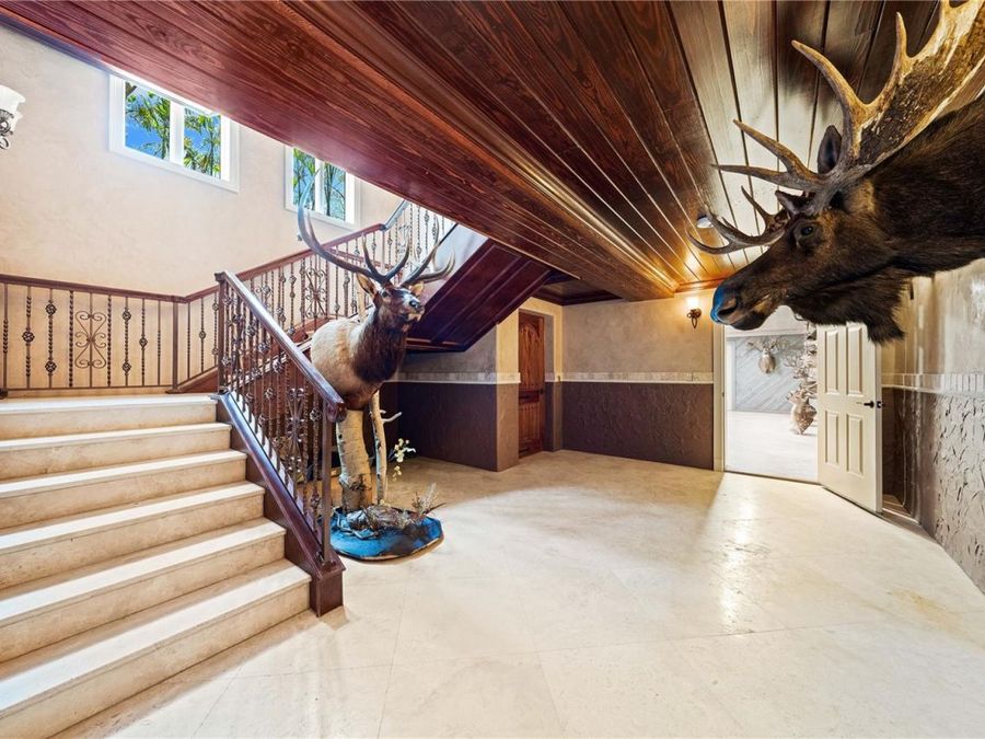 Property Image 64