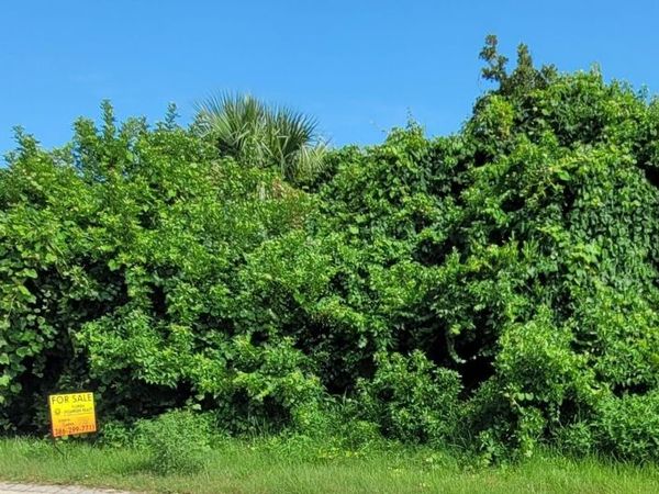 119 Capri Drive, Ormond Beach, FL 32176