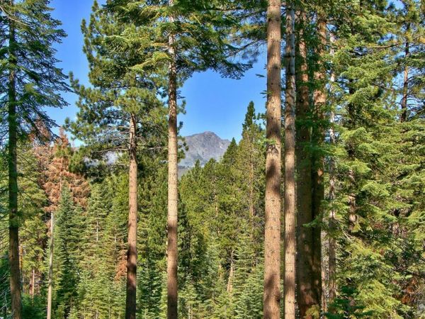 1428 Skyline Drive, South Lake Tahoe, CA 96150