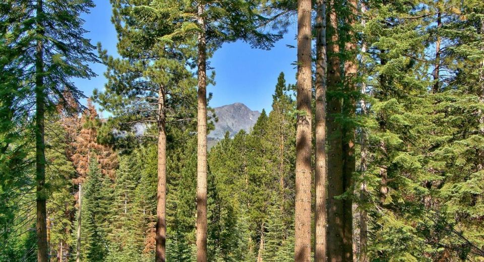 1428 Skyline Drive, South Lake Tahoe, CA 96150 Photo