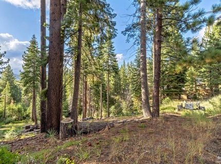 1428 Skyline Drive, South Lake Tahoe, CA 96150 Photo