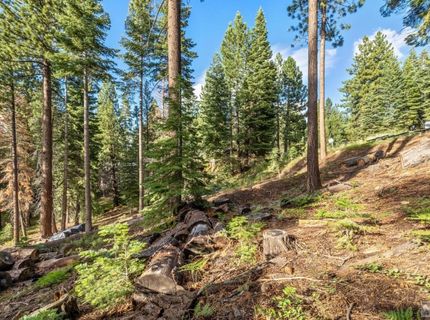 1428 Skyline Drive, South Lake Tahoe, CA 96150 Photo