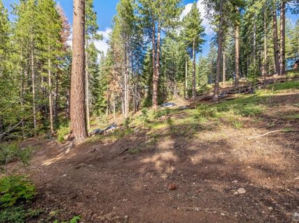 1428 Skyline Drive, South Lake Tahoe, CA 96150 Photo