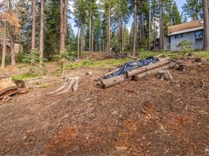 1428 Skyline Drive, South Lake Tahoe, CA 96150 Photo