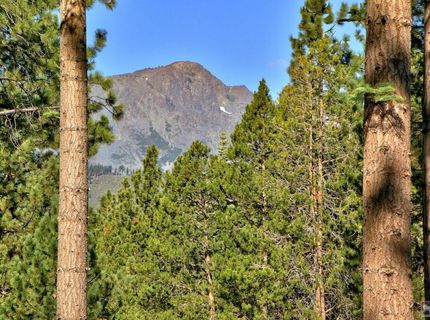 1428 Skyline Drive, South Lake Tahoe, CA 96150 Photo