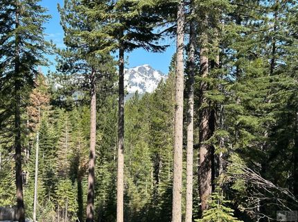 1428 Skyline Drive, South Lake Tahoe, CA 96150 Photo
