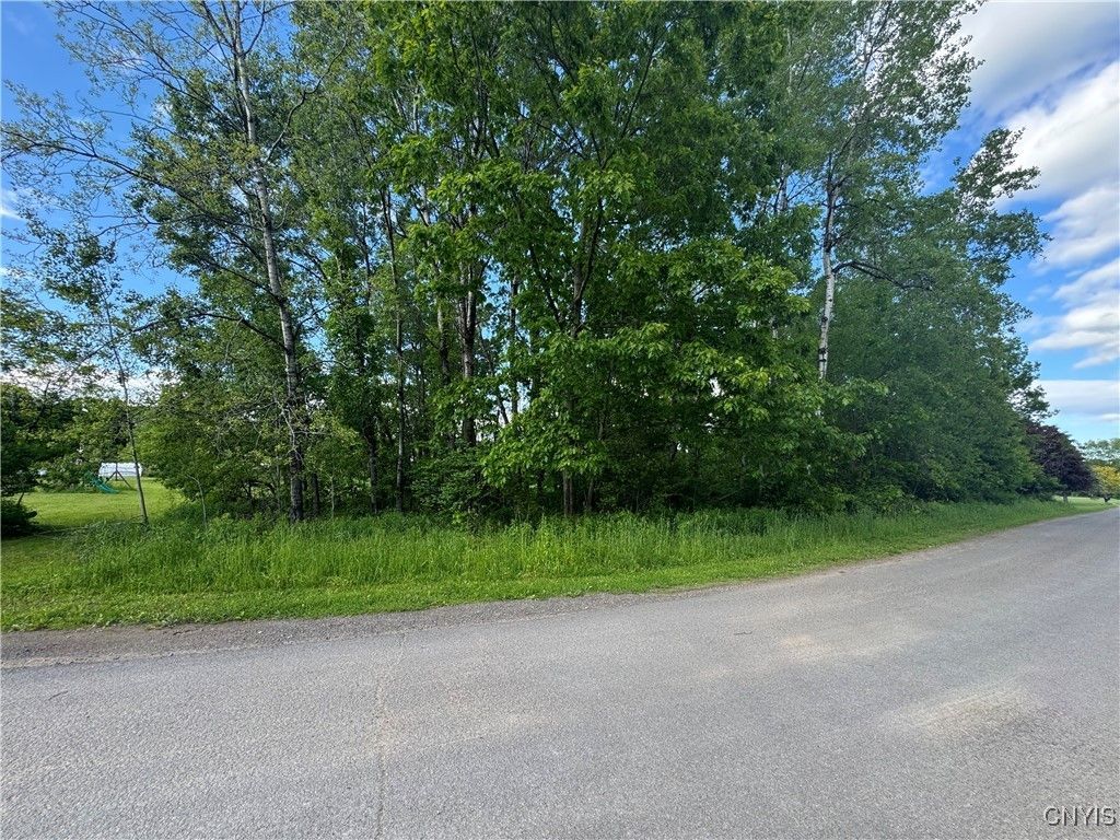 Wakefield Lane, Ava, NY 13303 Main Photo