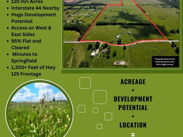 3246 N State Highway 125 , Strafford, MO 65757