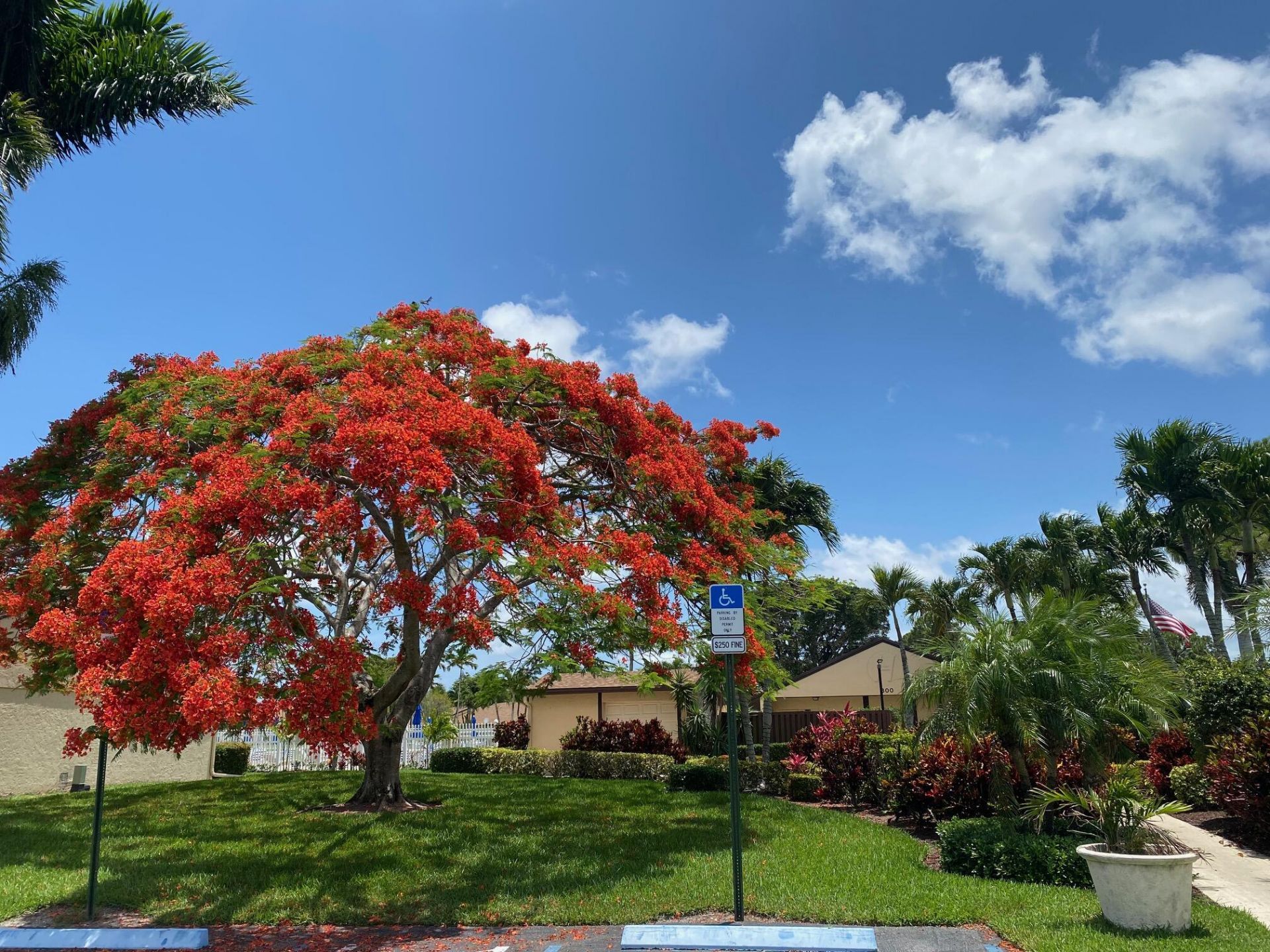 806 Sky Pine Way, Unit G3, Greenacres, FL 33415 Photo