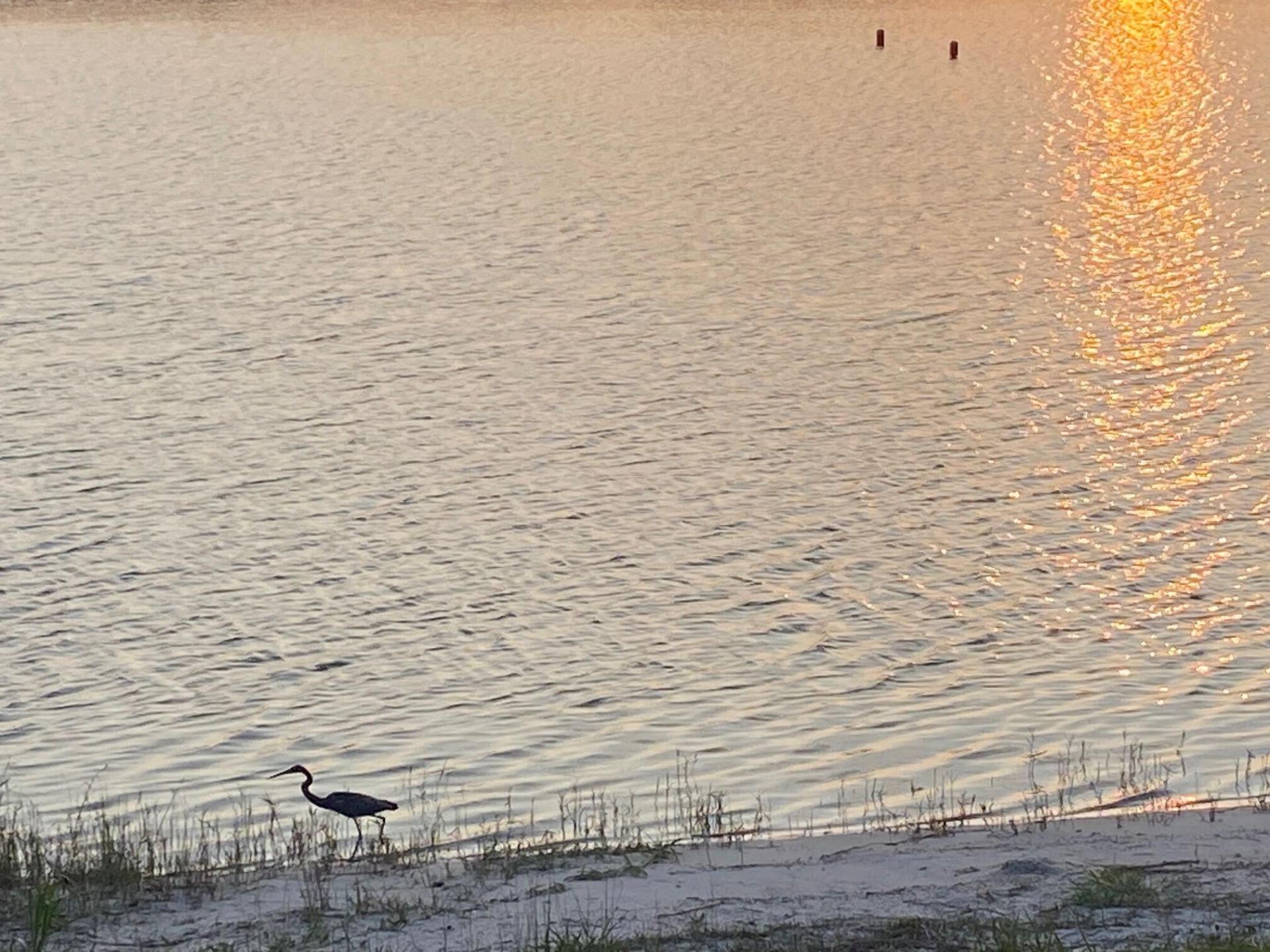 806 Sky Pine Way, Unit G3, Greenacres, FL 33415 Photo