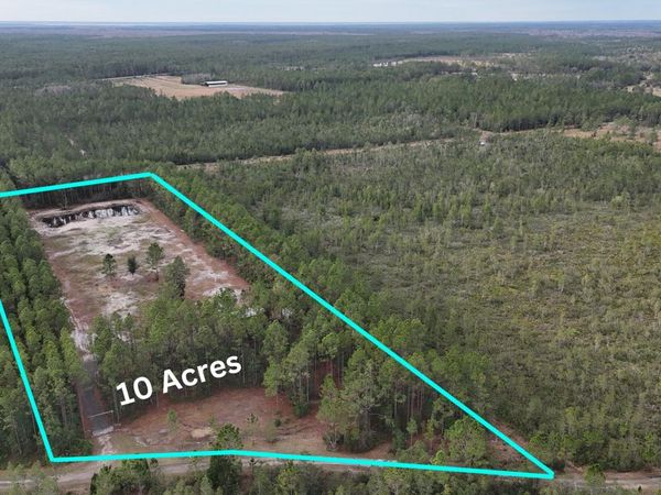 810 Wild Curr Road, Pierson, FL 32180